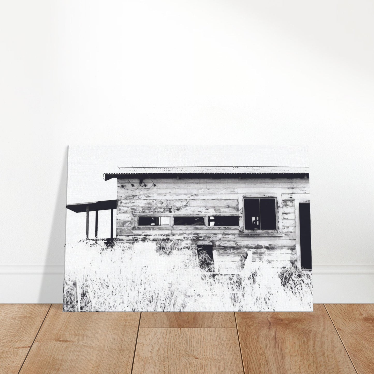 Old timber woolshed in black and white with peeling paint and wild grass in The Woolshed by NZ artist Ben Hart.