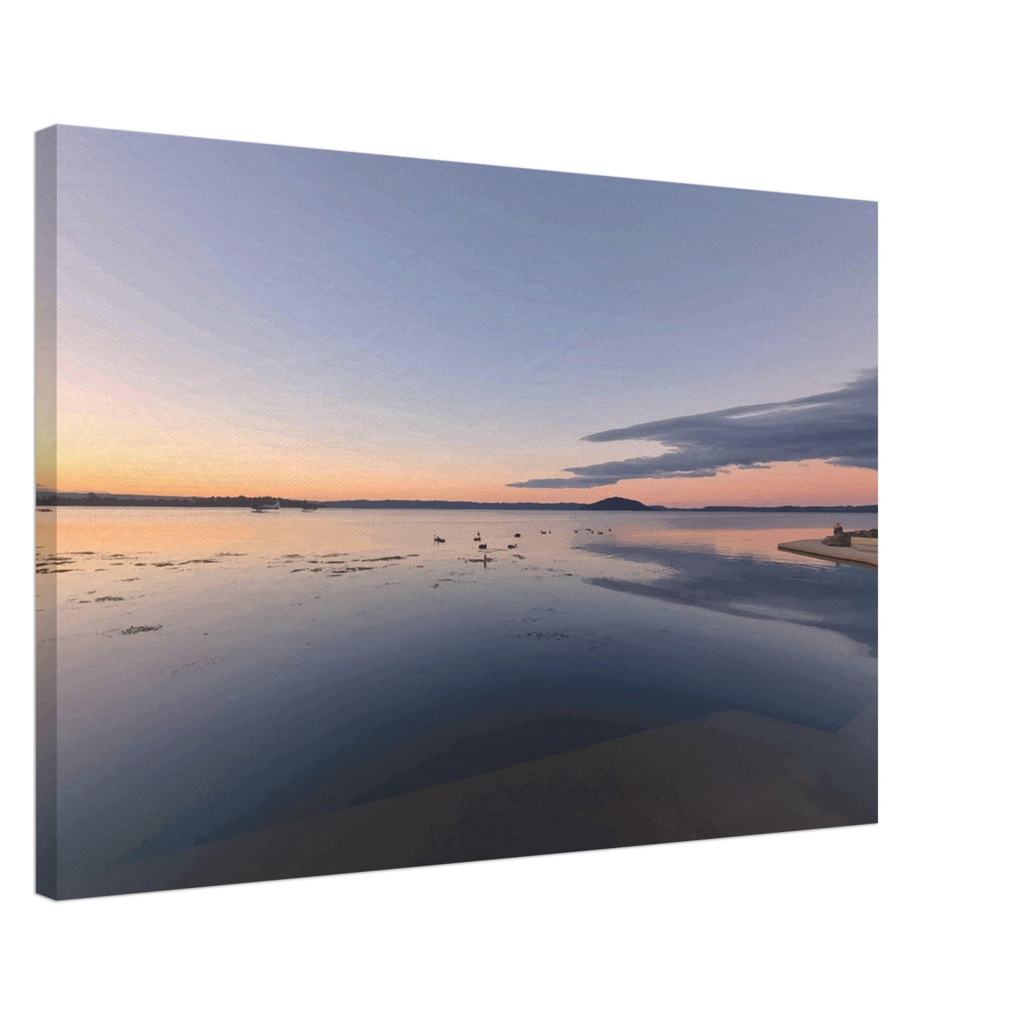 Peaceful Lake Rotorua at sunset with soft pastels, black swans and reflections in Whispers on the Lake by Ben Hart.