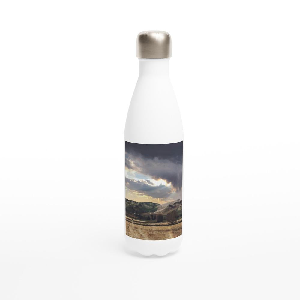 Designer stainless steel water bottle with original artwork by NZ designer