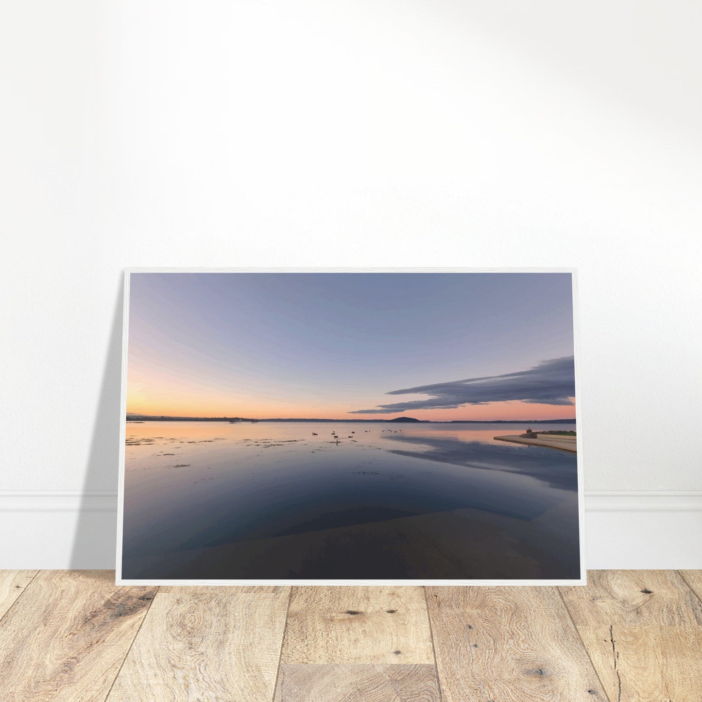 Peaceful Lake Rotorua at sunset with soft pastels, black swans and reflections in Whispers on the Lake by Ben Hart.