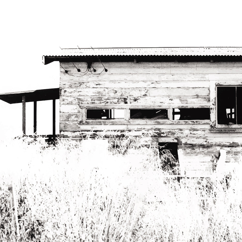 Old timber woolshed in black and white with peeling paint and wild grass in The Woolshed by NZ artist Ben Hart.