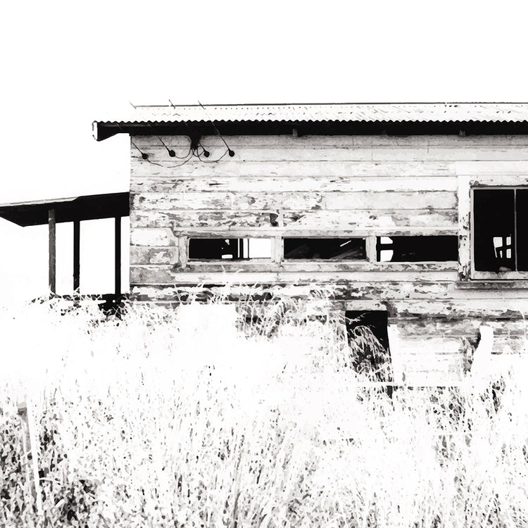 Old timber woolshed in black and white with peeling paint and wild grass in The Woolshed by NZ artist Ben Hart.