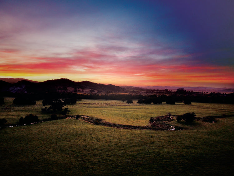 Sunrise over green fields and hills in Wairarapa, with glowing skies in purple, orange, and pink.