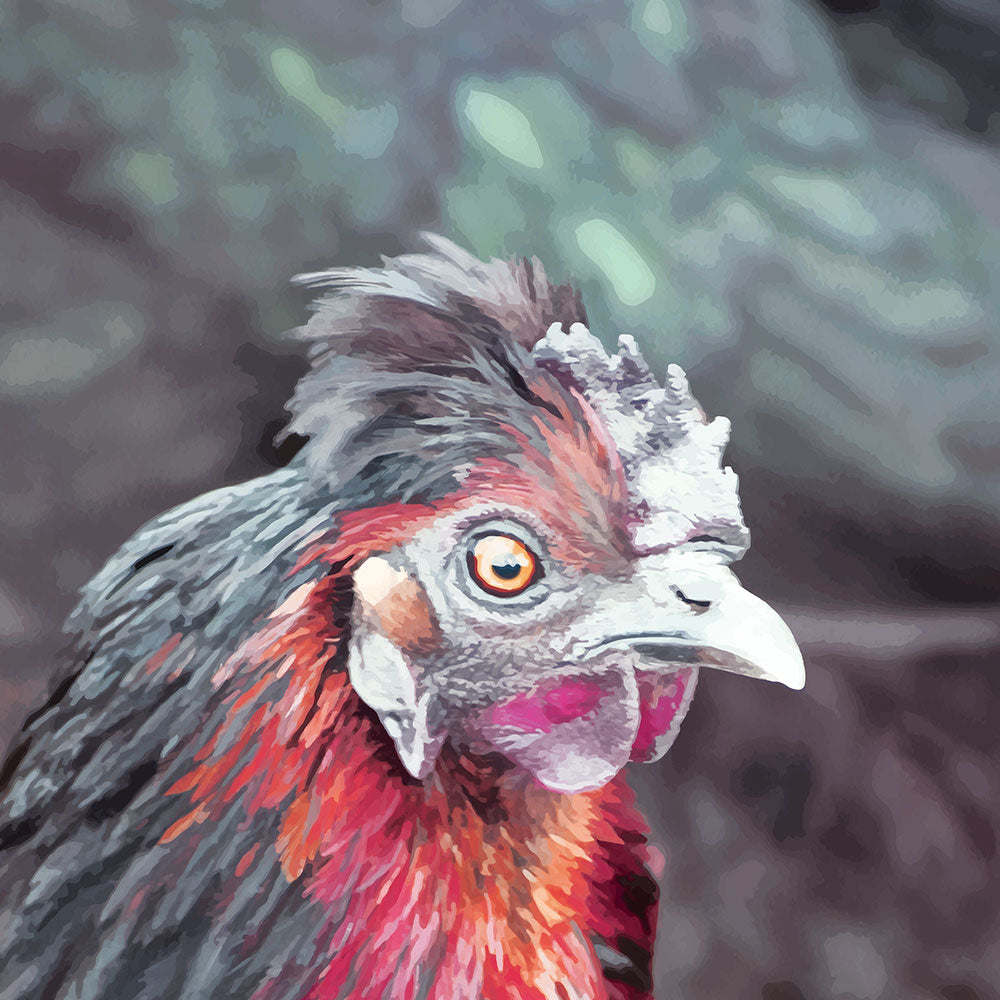 Vibrant close-up artwork of a quirky chicken with bright feathers and a bold expression.