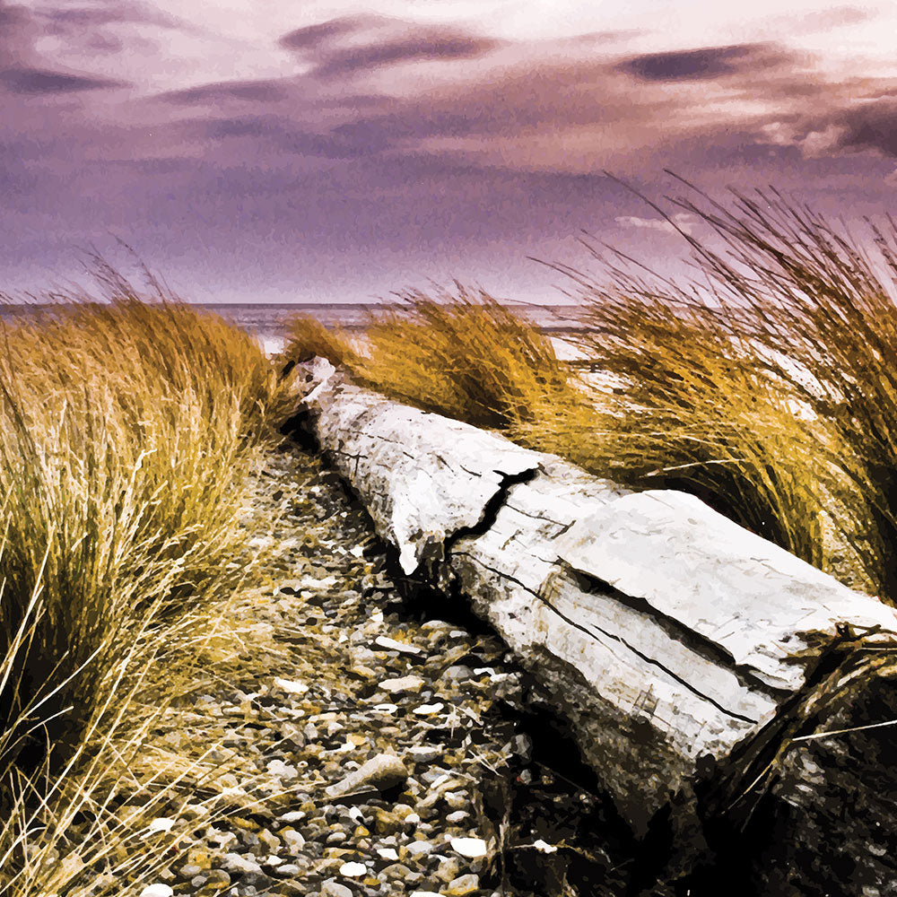 Driftwood lying in coastal grasses under a purple sky, evoking weathered texture and calm.