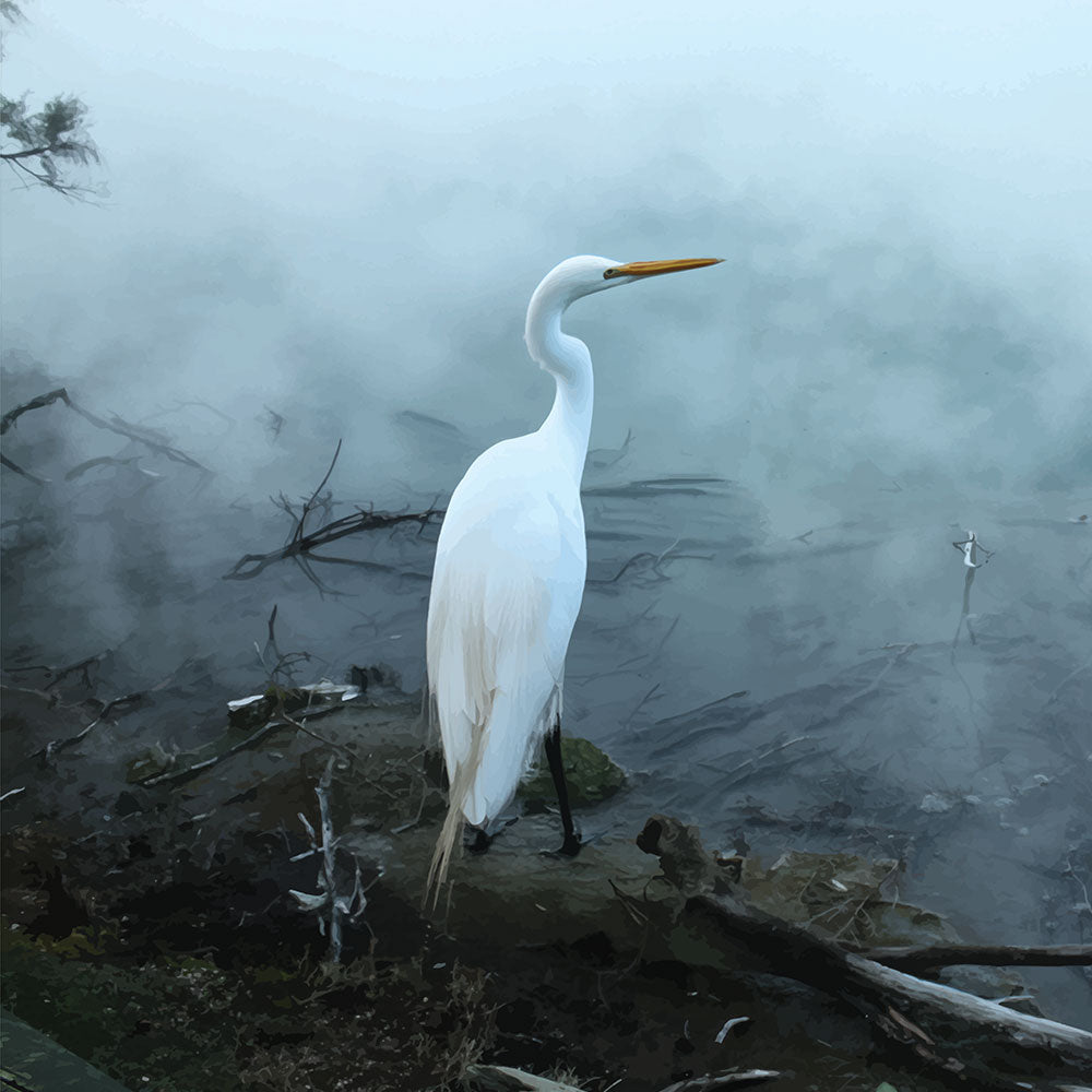 A misty, dreamlike scene of a kōtuku by a geothermal pool. 