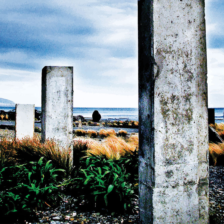 Concrete pillars on the Wellington coast at Owhiro Bay with grasses, sea, and moody sky.