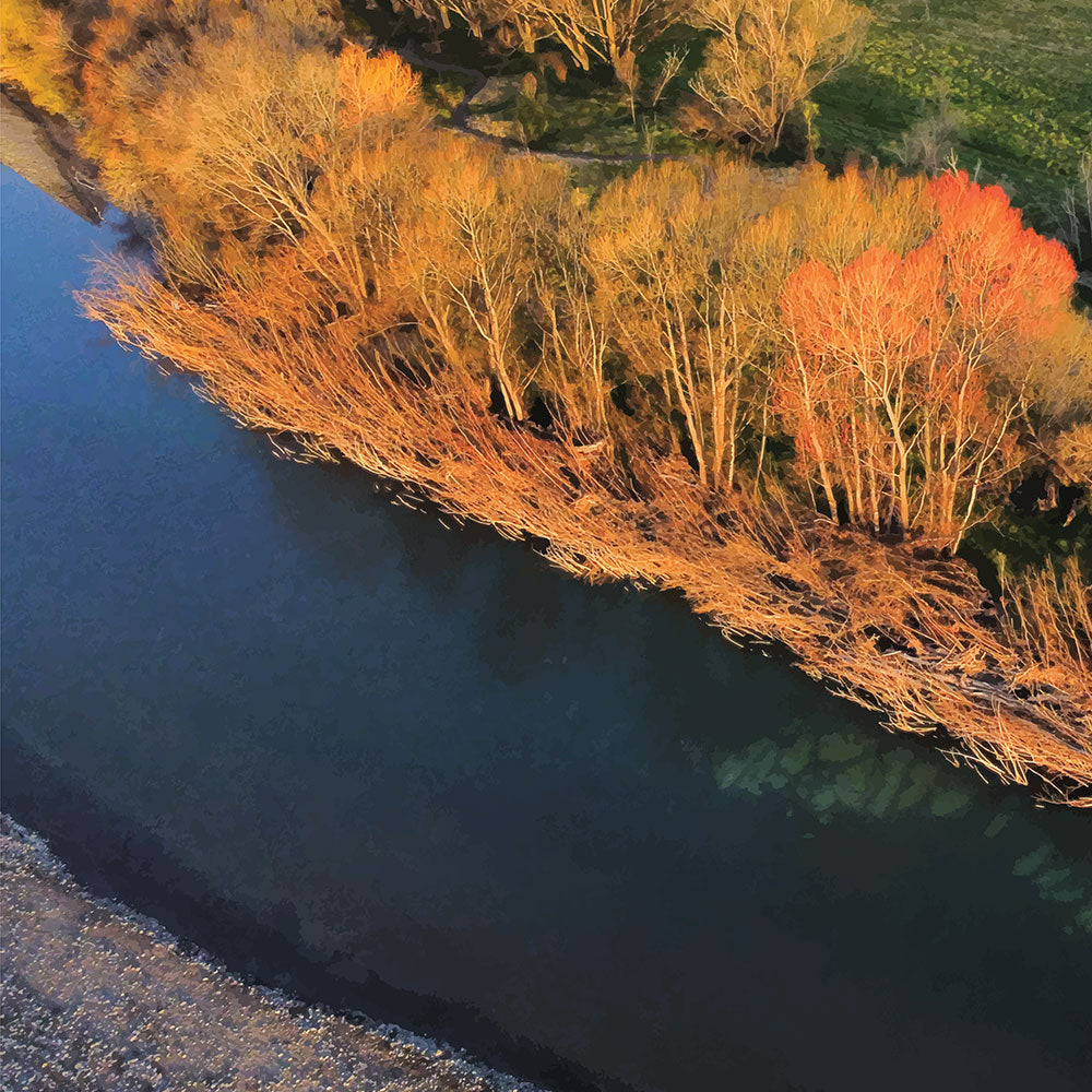 Aerial artwork of autumn trees glowing orange beside a deep blue New Zealand river, full of bold contrast and colour.