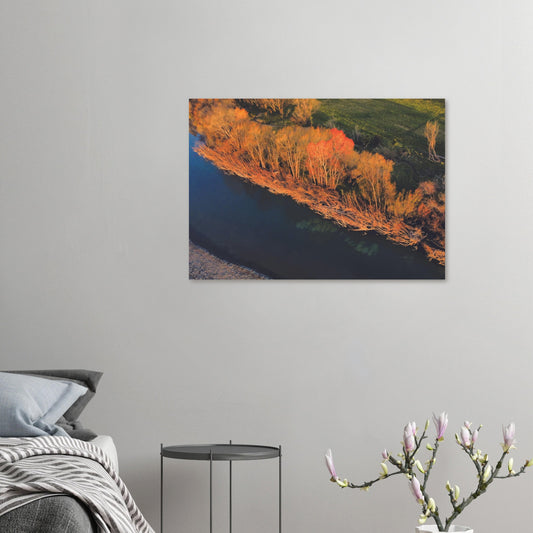 Aerial artwork of autumn trees glowing orange beside a deep blue New Zealand river, full of bold contrast and colour.