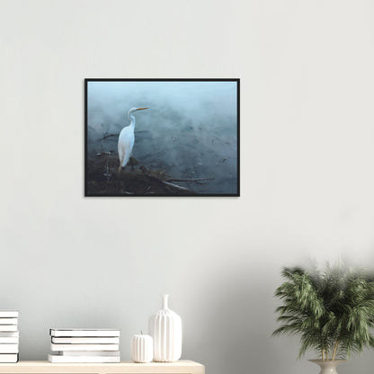 'Grace in the mist' captures the graceful presence of the Kōtuku (white heron) standing still on the edge of a steaming geothermal pool.