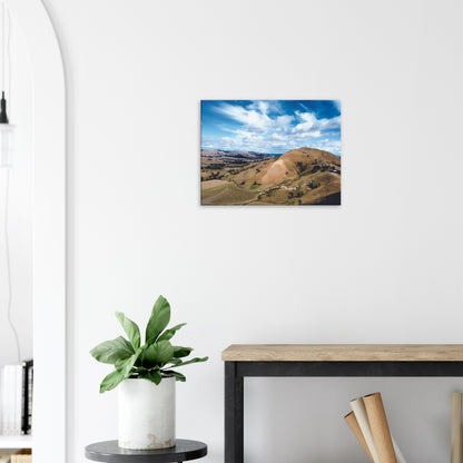 Artwork of Tauweru’s rolling hills under a bright sky, capturing the warmth and openness of the Wairarapa landscape.