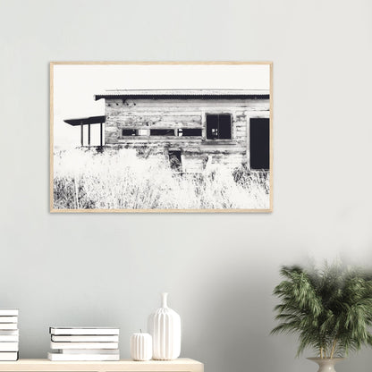 Old timber woolshed in black and white with peeling paint and wild grass in The Woolshed by NZ artist Ben Hart.