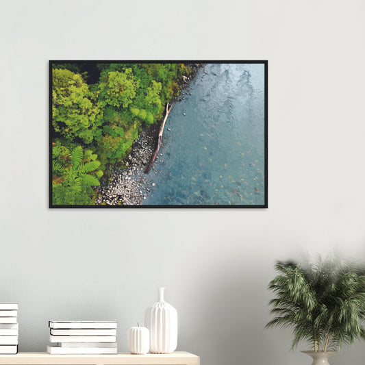Artwork of native bush and a riverbank viewed from above, with driftwood resting at the water’s edge.