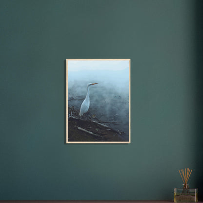 White Heron in the mist captures the quiet elegance of a white heron poised beside mist-covered waters. 