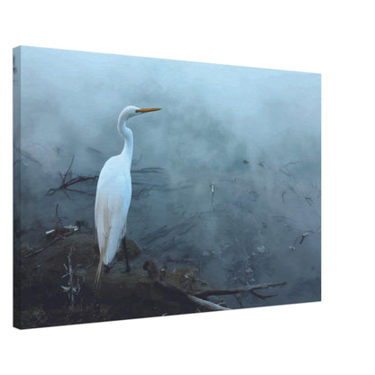 'Grace in the mist' captures the graceful presence of the Kōtuku (white heron) standing still on the edge of a steaming geothermal pool.