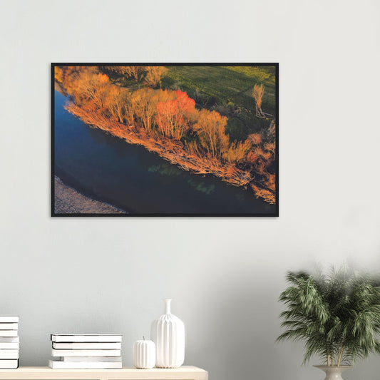 Aerial artwork of autumn trees glowing orange beside a deep blue New Zealand river, full of bold contrast and colour.
