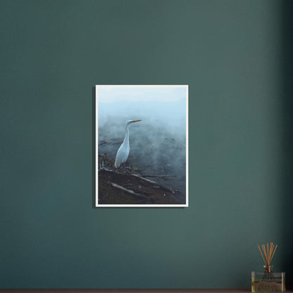 White Heron in the mist captures the quiet elegance of a white heron poised beside mist-covered waters. 