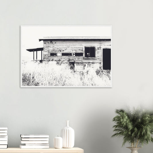 Old timber woolshed in black and white with peeling paint and wild grass in The Woolshed by NZ artist Ben Hart.