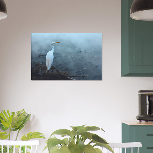 'Grace in the mist' captures the graceful presence of the Kōtuku (white heron) standing still on the edge of a steaming geothermal pool.