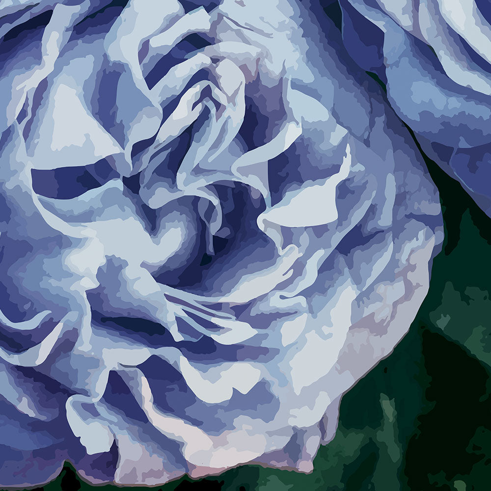 'Blue Rose' phone case design close-up - detailed print view NZ Australia