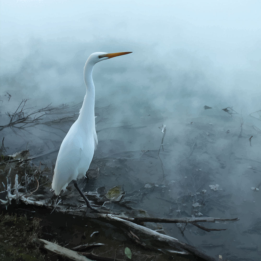 'White Heron in the mist' phone case design close-up - detailed print view NZ Australia