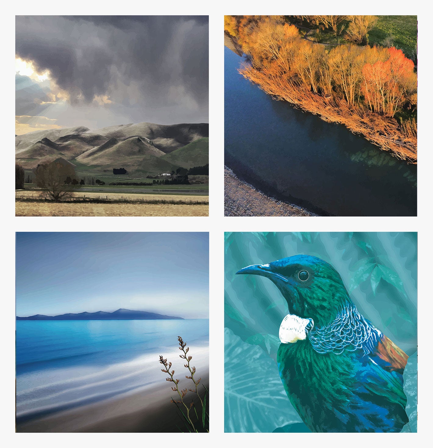 New Zealand inspired wall art prints
