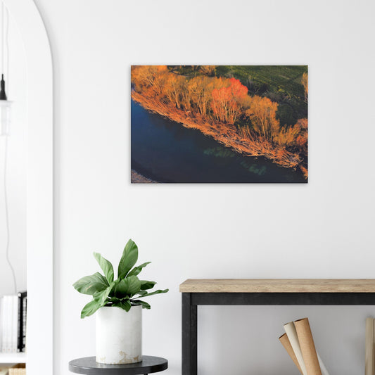 Aerial artwork of autumn trees glowing orange beside a deep blue New Zealand river, full of bold contrast and colour.