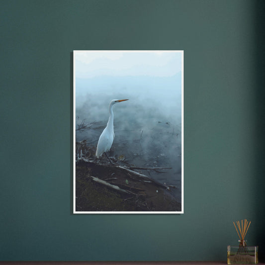 White Heron in the mist captures the quiet elegance of a white heron poised beside mist-covered waters. 