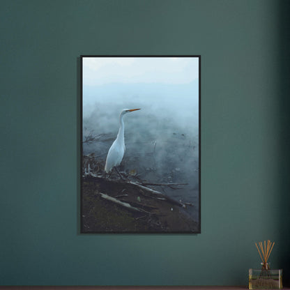 White Heron in the mist captures the quiet elegance of a white heron poised beside mist-covered waters. 