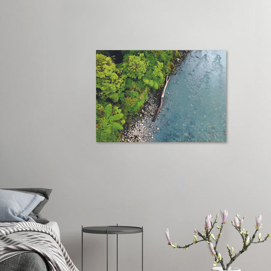 Artwork of native bush and a riverbank viewed from above, with driftwood resting at the water’s edge.