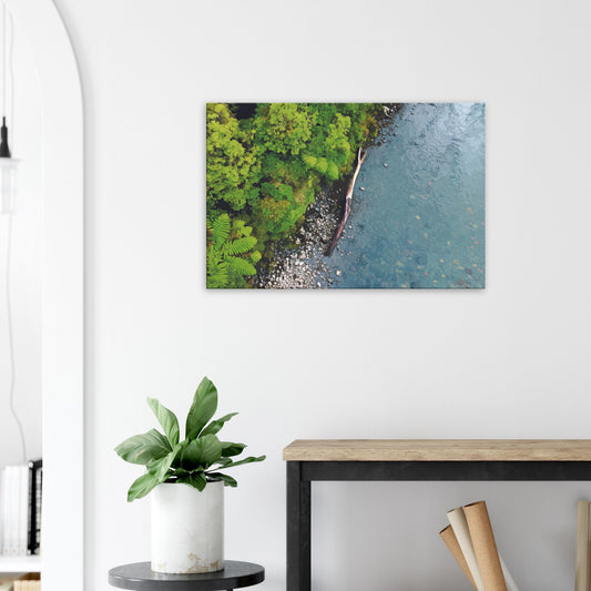 Artwork of native bush and a riverbank viewed from above, with driftwood resting at the water’s edge.