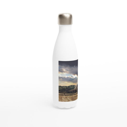 Designer stainless steel water bottle with original artwork by NZ designer